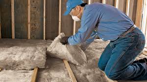 Best Insulation for New Construction  in Carlisle, OH